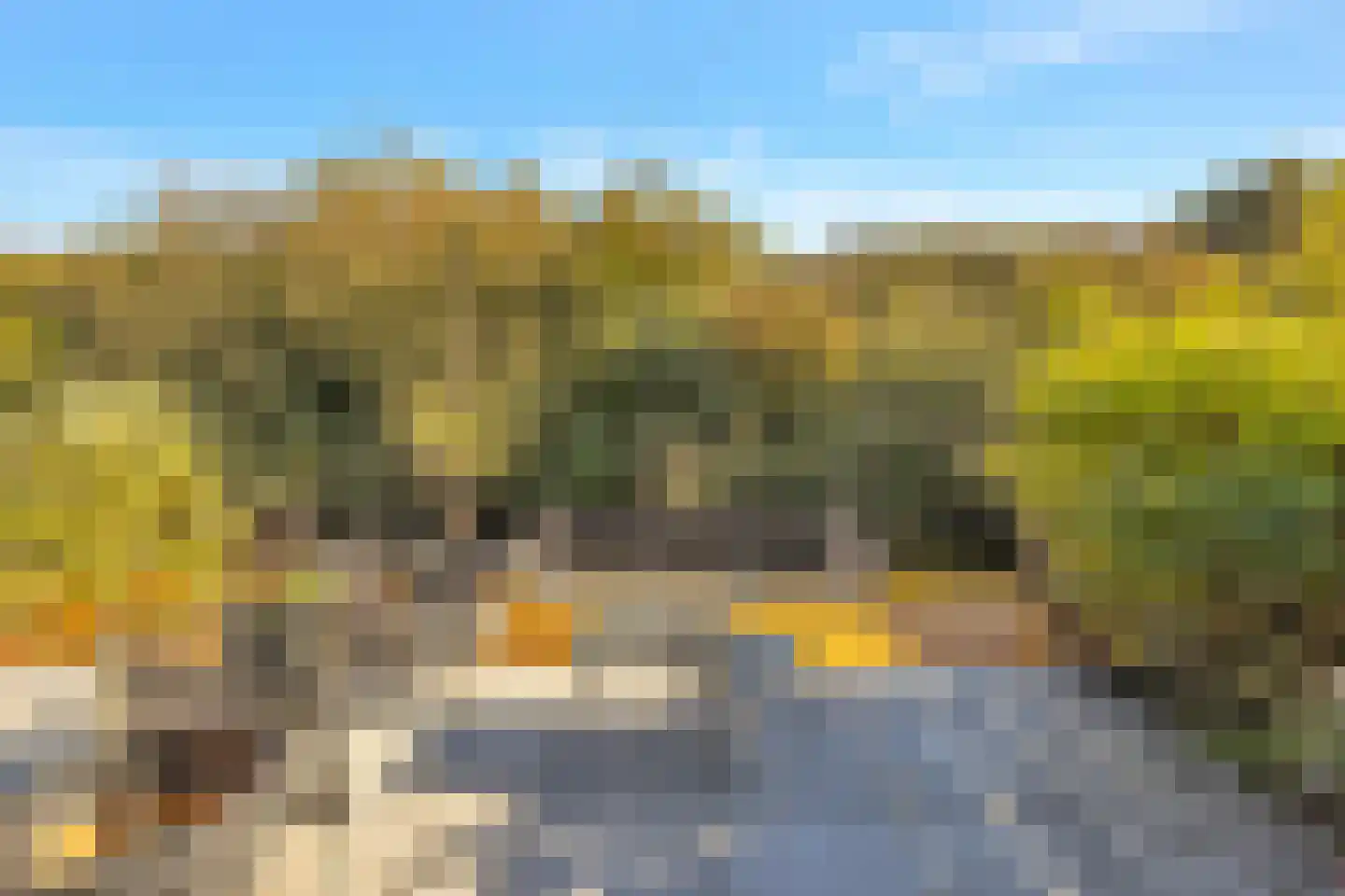 Westerdelle 32 Petten thumbnail 38