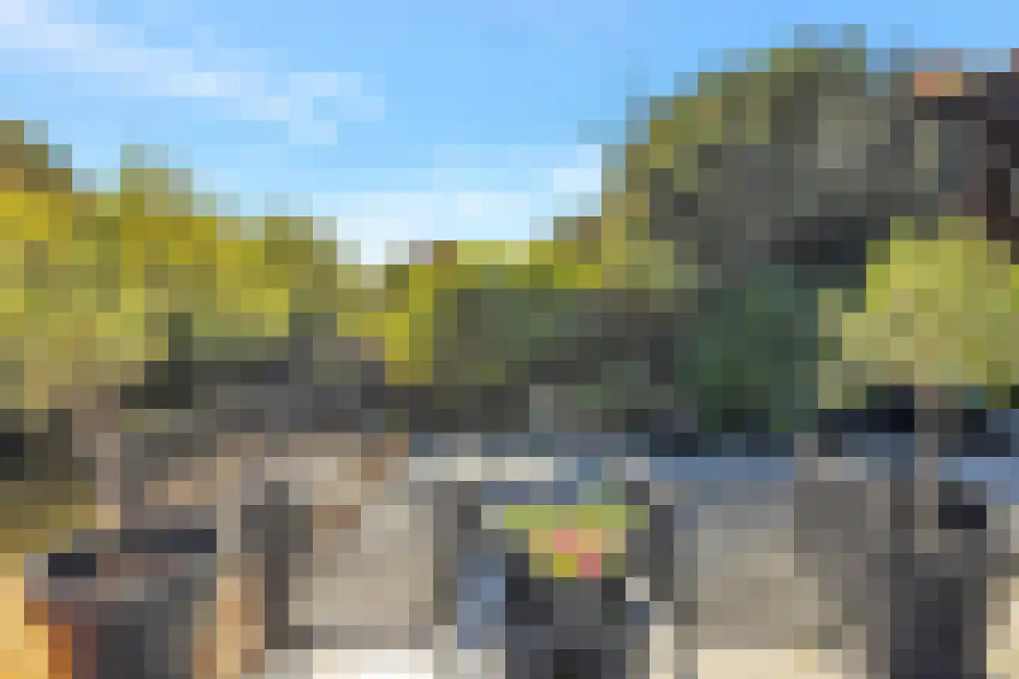 Westerdelle 32 Petten thumbnail 8