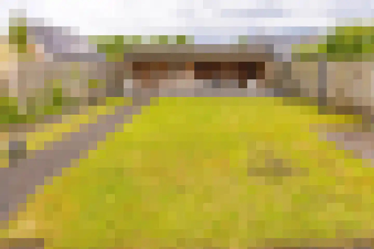 Westerdiep 27 Nieuw-Buinen thumbnail 29
