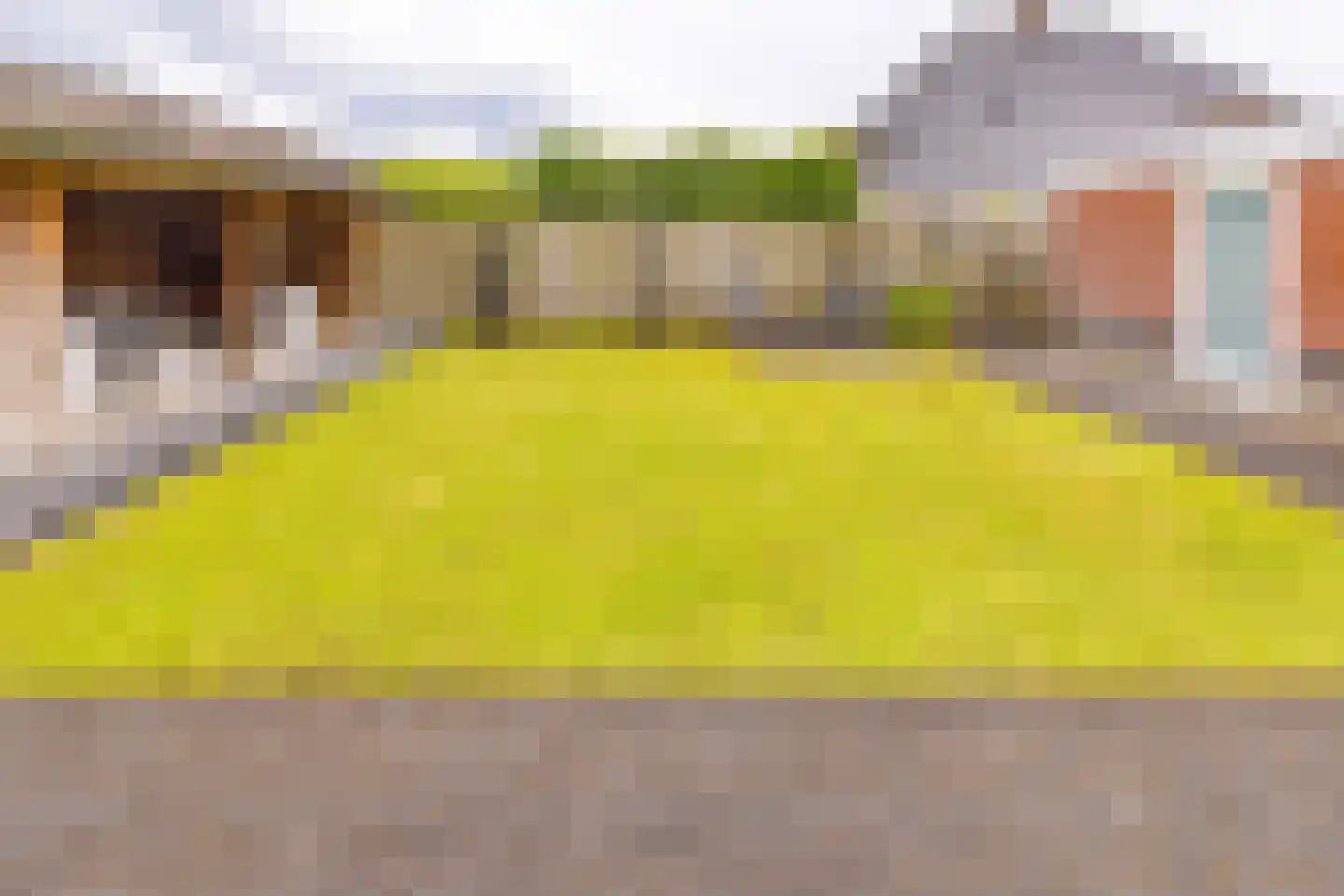 Westerdiep 27 Nieuw-Buinen thumbnail 32
