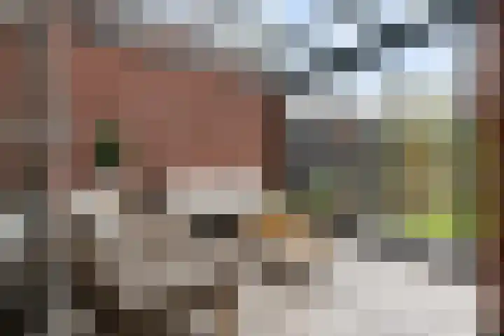 Westerdiep 95 Nieuw-Buinen thumbnail 38
