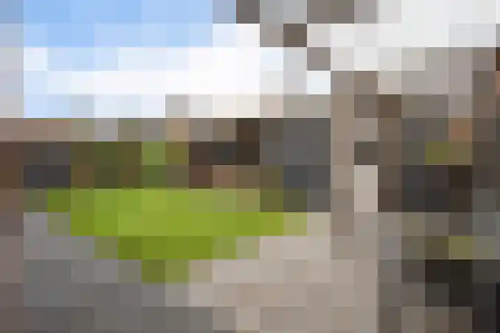 Westerdiep 95 Nieuw-Buinen thumbnail 41