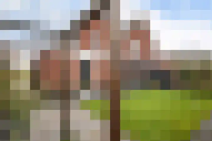 Westerdiep 95 Nieuw-Buinen thumbnail 42