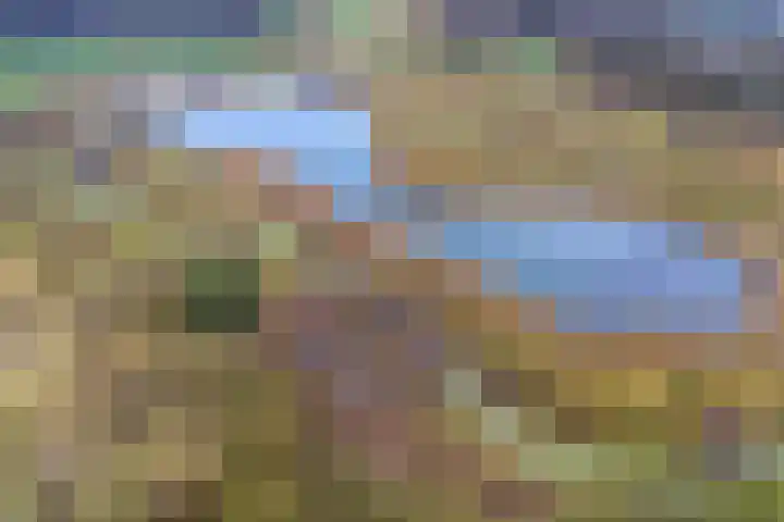 Westerdiep 95 Nieuw-Buinen thumbnail 47