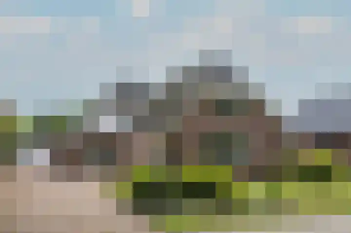 Westerdiep OZ 101 in Emmer-Compascuum