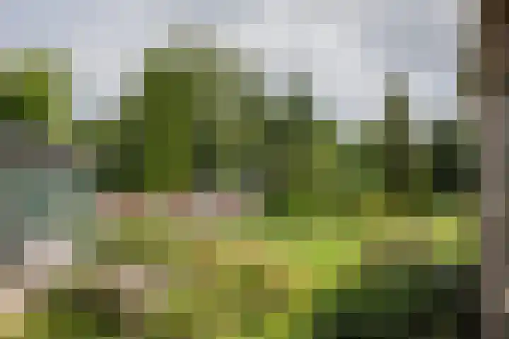 Westerdiep OZ 101 Emmer-Compascuum thumbnail 35