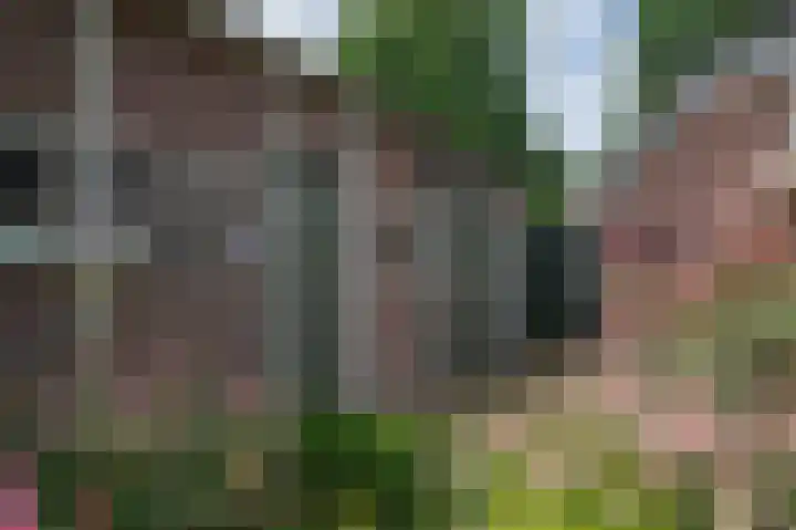 Westerdiep OZ 101 Emmer-Compascuum thumbnail 37