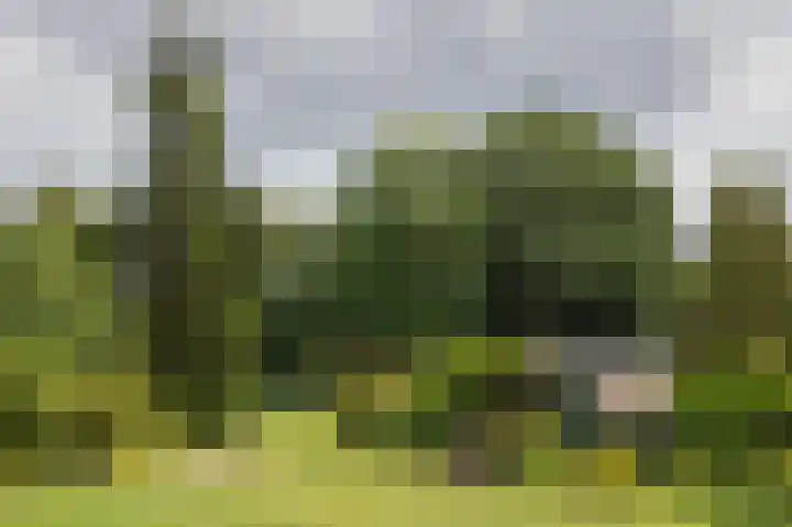 Westerdiep OZ 101 Emmer-Compascuum thumbnail 43