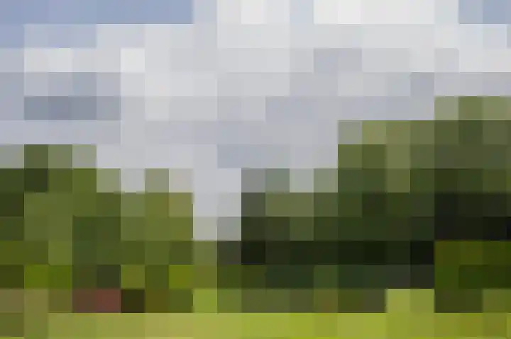 Westerdiep OZ 101 Emmer-Compascuum thumbnail 45