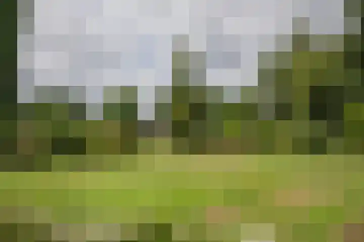 Westerdiep OZ 101 Emmer-Compascuum thumbnail 46