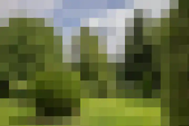 Westerdiep OZ 101 Emmer-Compascuum thumbnail 47