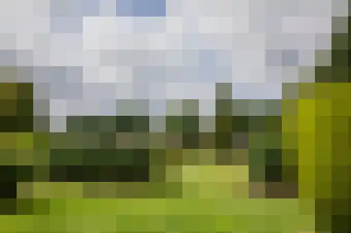 Westerdiep OZ 101 Emmer-Compascuum thumbnail 48