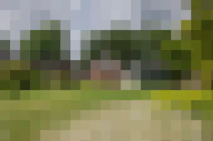 Westerdiep OZ 101 Emmer-Compascuum thumbnail 51