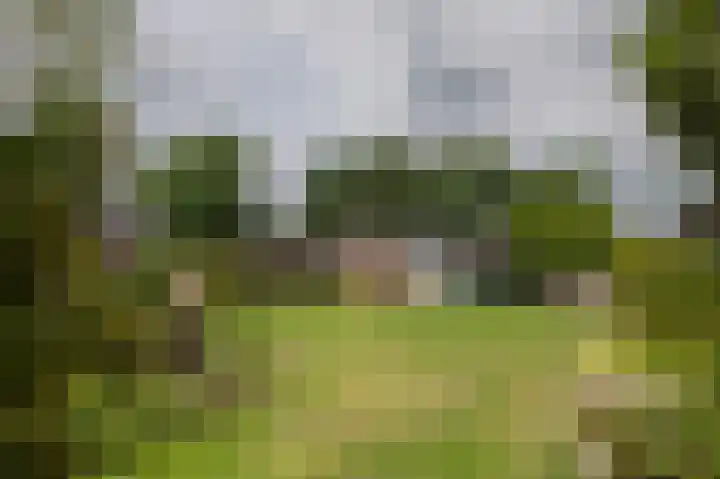 Westerdiep OZ 101 Emmer-Compascuum thumbnail 52