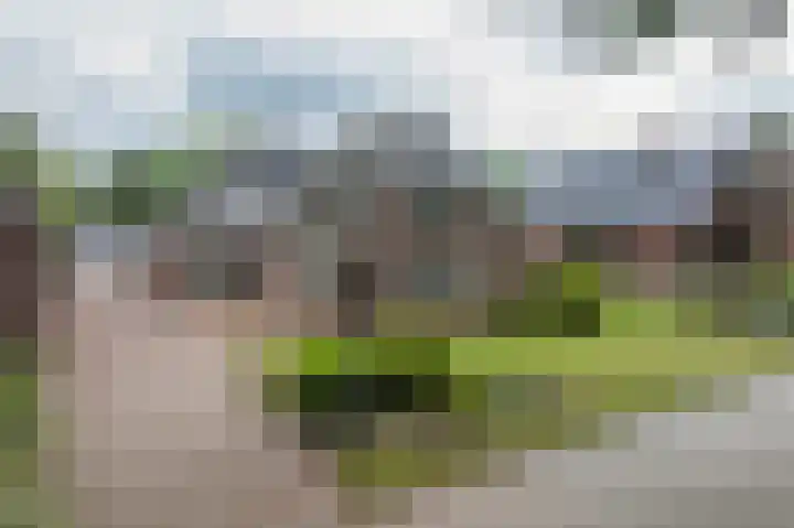 Westerdiep OZ 101 Emmer-Compascuum thumbnail 55