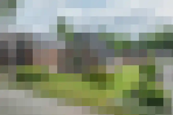 Westerdiep OZ 101 Emmer-Compascuum thumbnail 56