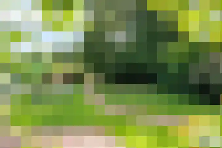 Westerdiep OZ 107 Emmer-Compascuum thumbnail 36
