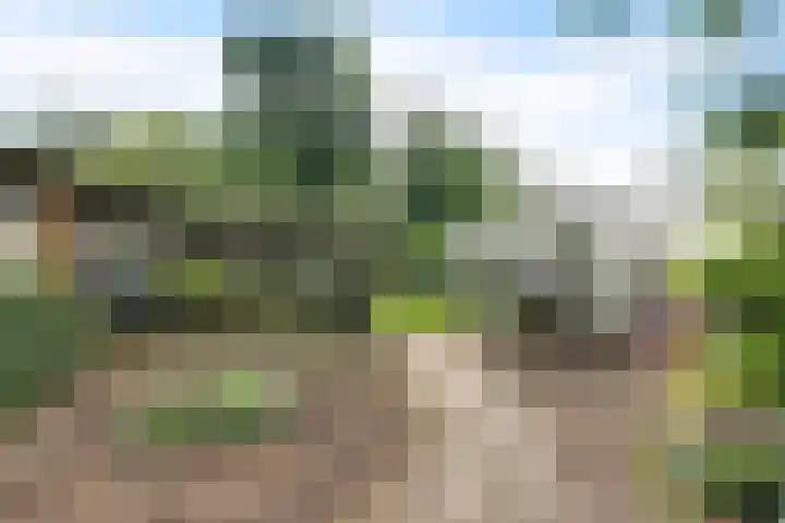 Westerdiep OZ 107 Emmer-Compascuum thumbnail 37