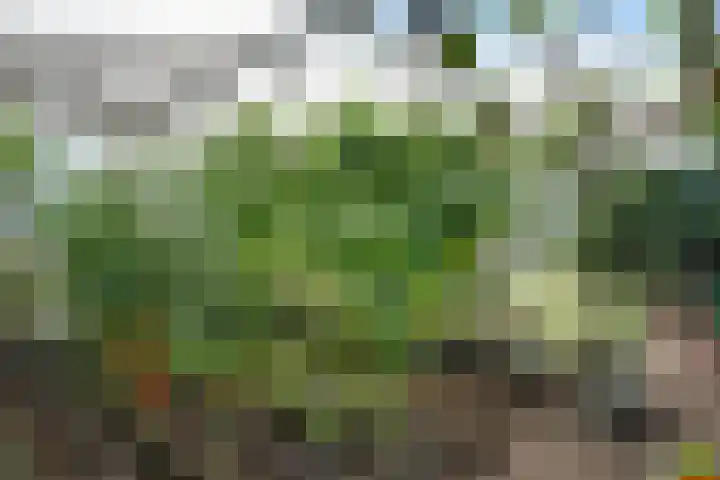 Westerdiep OZ 107 Emmer-Compascuum thumbnail 38