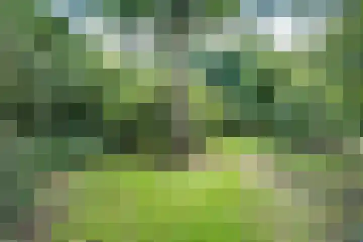 Westerdiep OZ 107 Emmer-Compascuum thumbnail 39