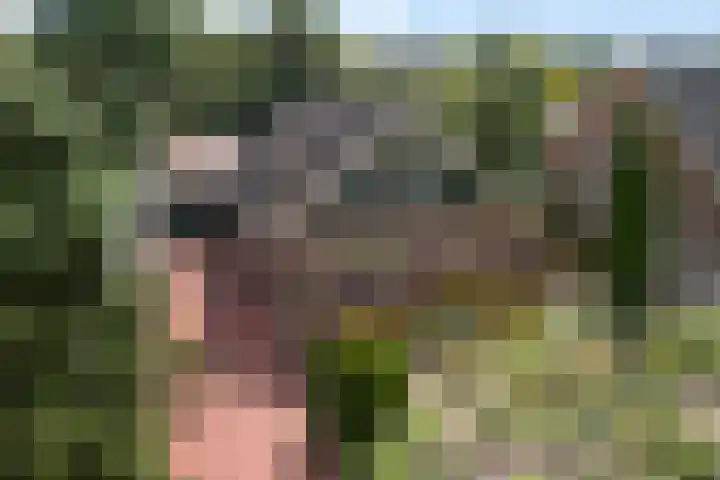 Westerdiep OZ 107 Emmer-Compascuum thumbnail 4