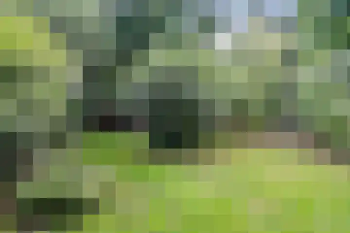 Westerdiep OZ 107 Emmer-Compascuum thumbnail 40