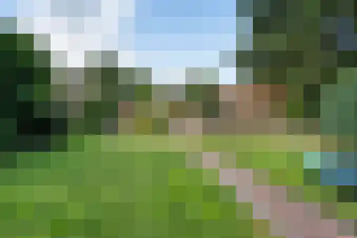 Westerdiep OZ 107 Emmer-Compascuum thumbnail 41