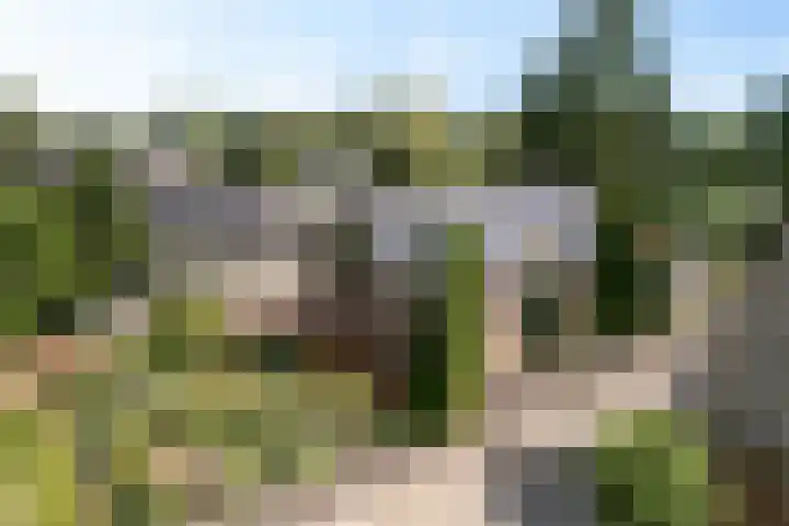 Westerdiep OZ 107 Emmer-Compascuum thumbnail 42