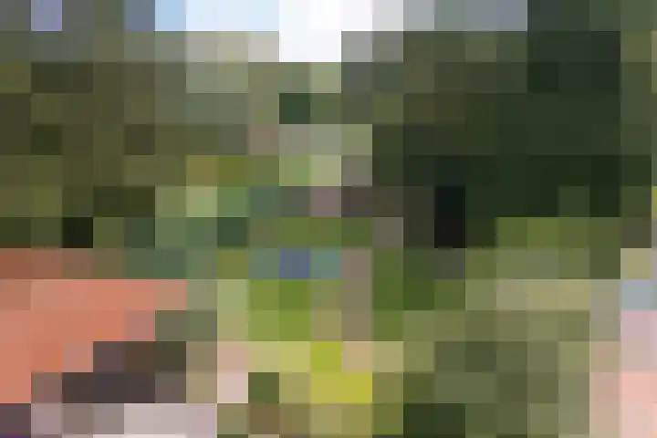 Westerdiep OZ 107 Emmer-Compascuum thumbnail 43
