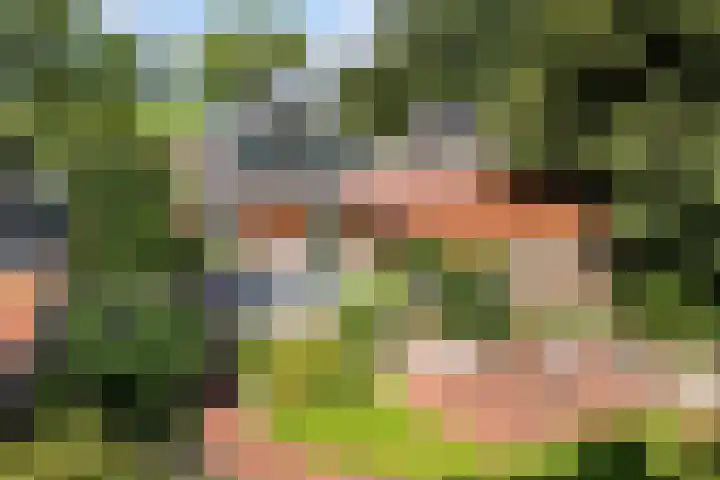 Westerdiep OZ 107 Emmer-Compascuum thumbnail 45