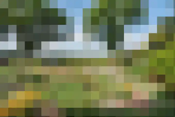 Westerdiep OZ 107 Emmer-Compascuum thumbnail 46