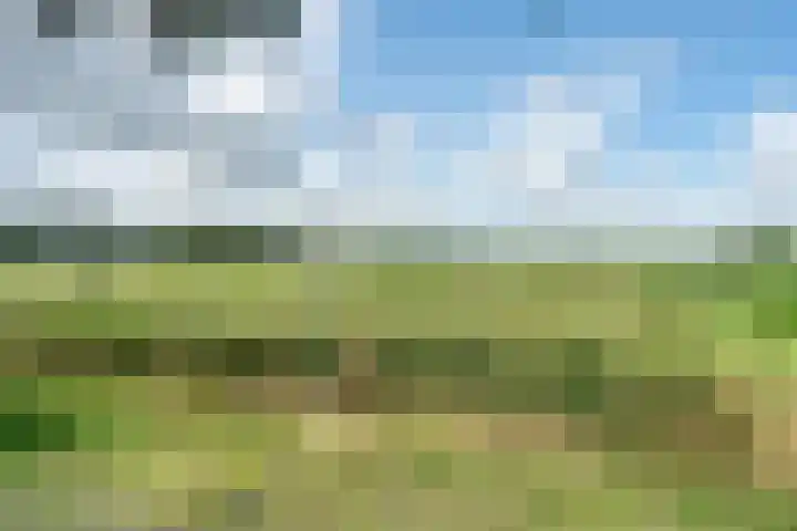 Westerdiep OZ 107 Emmer-Compascuum thumbnail 47