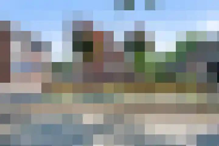 Westerdiep OZ 30 Emmer-Compascuum thumbnail 30