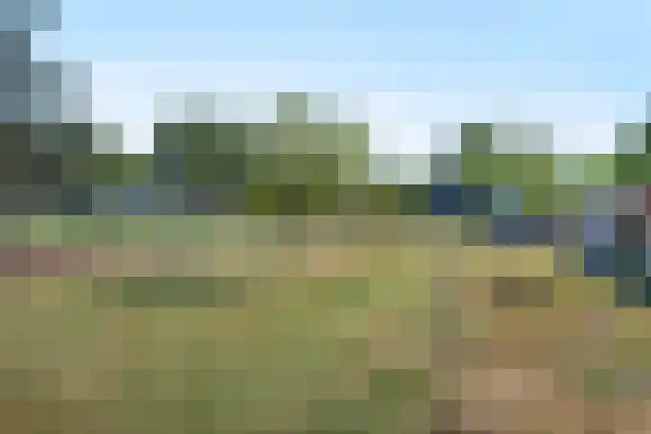 Westerdiep OZ 30 Emmer-Compascuum thumbnail 39