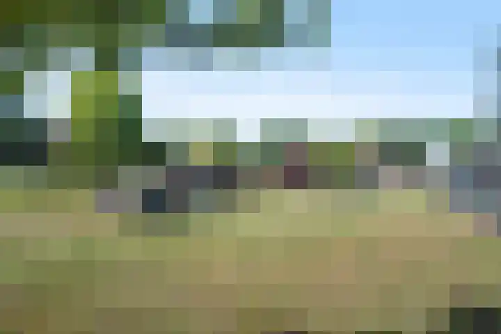 Westerdiep OZ 30 Emmer-Compascuum thumbnail 40
