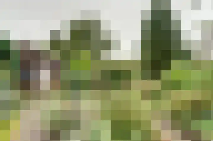 Westerdiep OZ 71 Emmer-Compascuum thumbnail 30