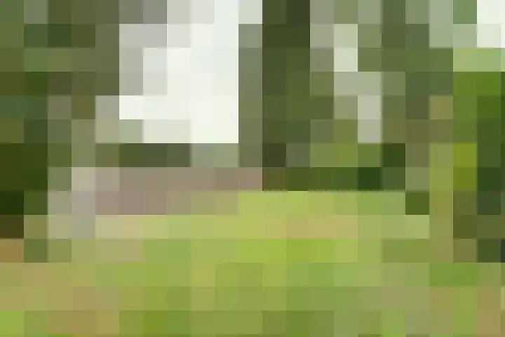 Westerdiep OZ 71 Emmer-Compascuum thumbnail 31