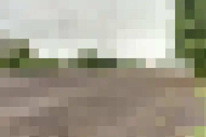 Westerdiep OZ 71 Emmer-Compascuum thumbnail 33