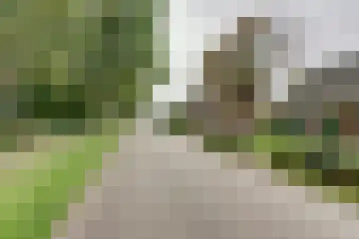 Westerdiep OZ 71 Emmer-Compascuum thumbnail 37