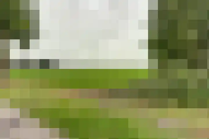 Westerdiep OZ 71 Emmer-Compascuum thumbnail 38