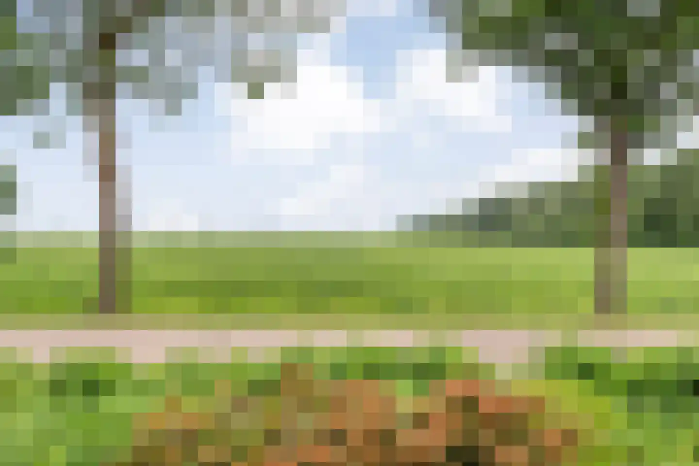 Westerdiep OZ 74 Emmer-Compascuum thumbnail 47