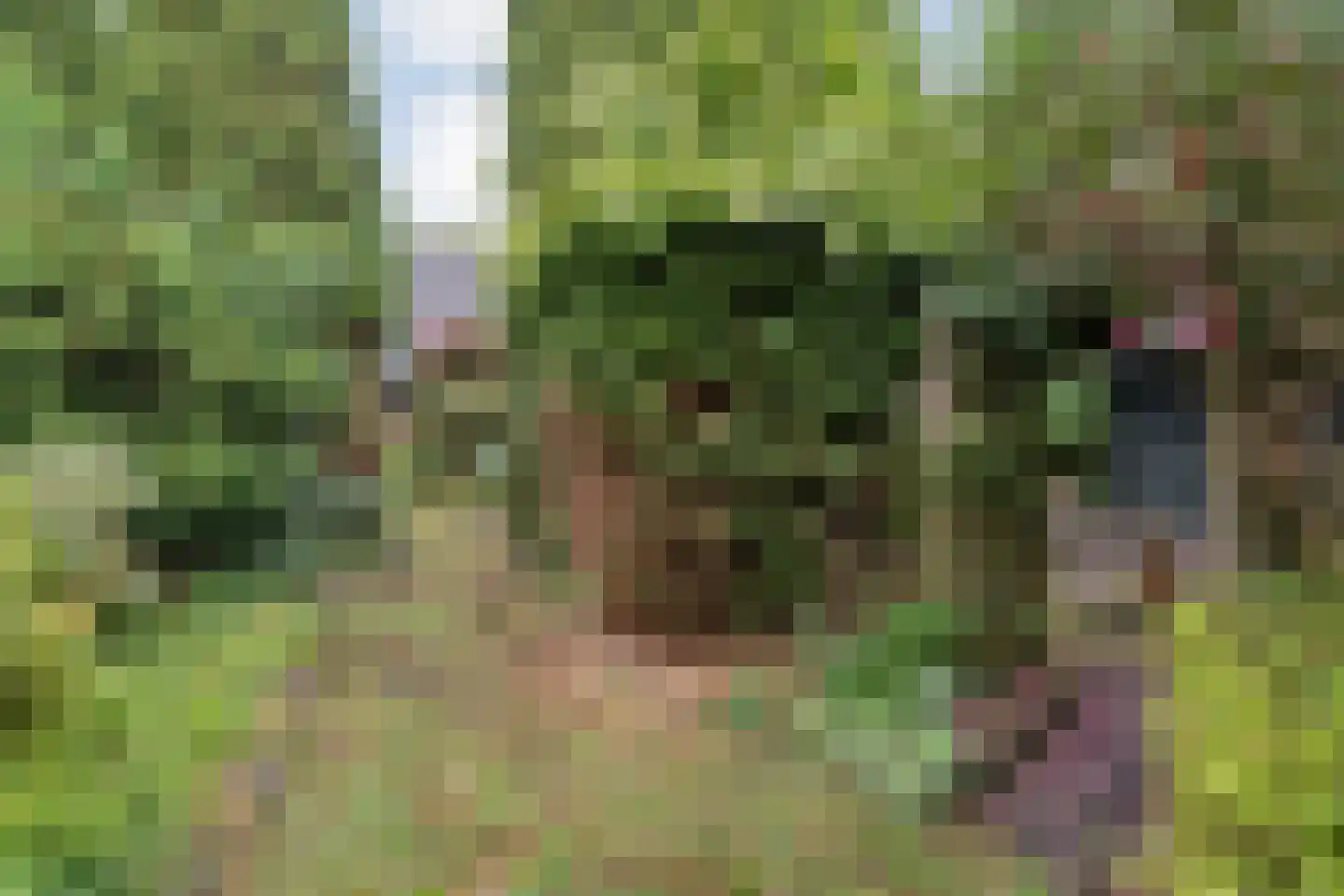 Westerdiep OZ 74 Emmer-Compascuum thumbnail 57
