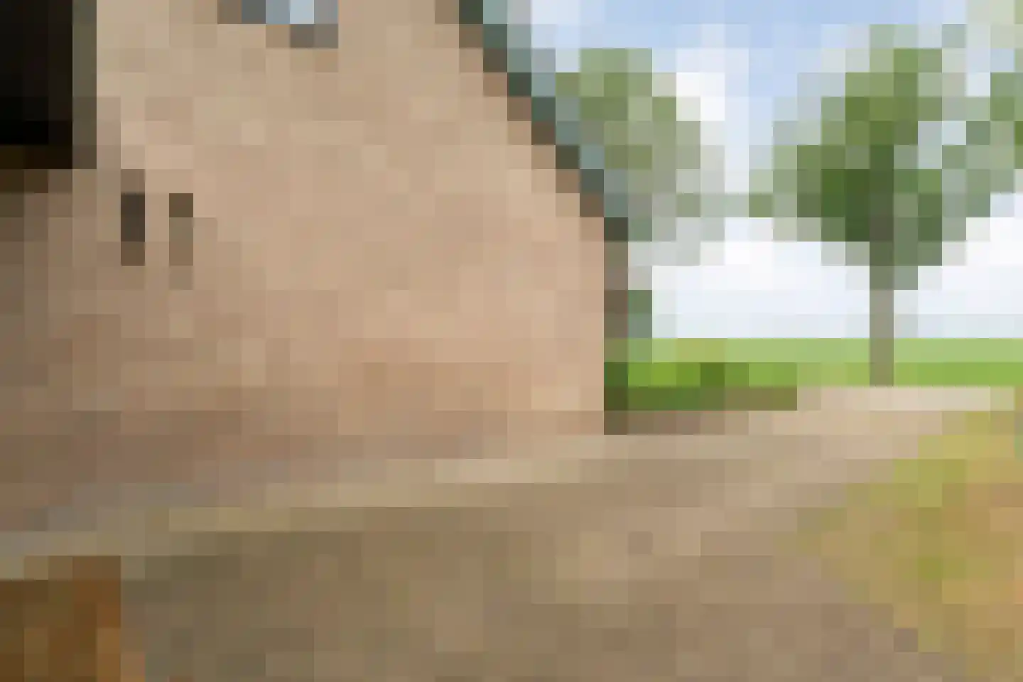 Westerdiep OZ 74 Emmer-Compascuum thumbnail 6