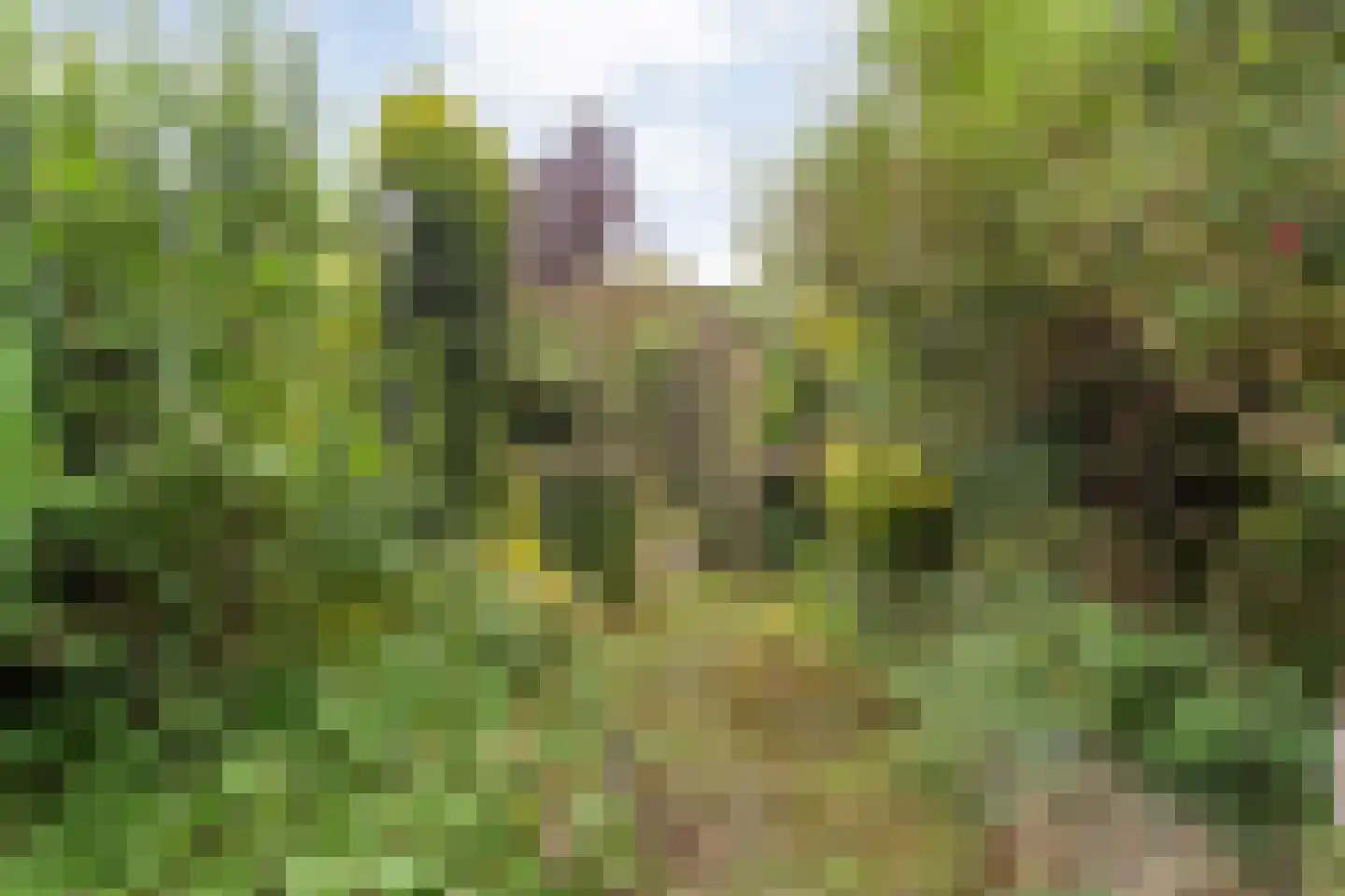 Westerdiep OZ 74 Emmer-Compascuum thumbnail 63