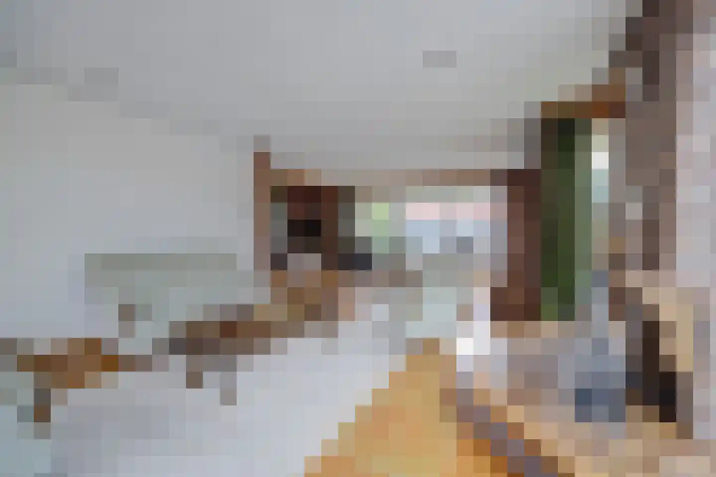 Westerdiep OZ 8 Emmer-Compascuum thumbnail 4