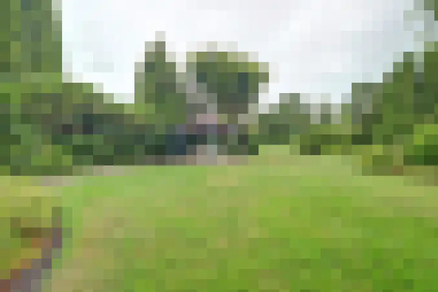 Westerdiep OZ 8 Emmer-Compascuum thumbnail 40