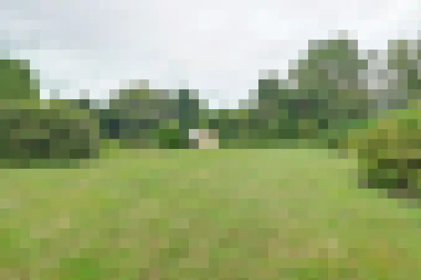 Westerdiep OZ 8 Emmer-Compascuum thumbnail 42