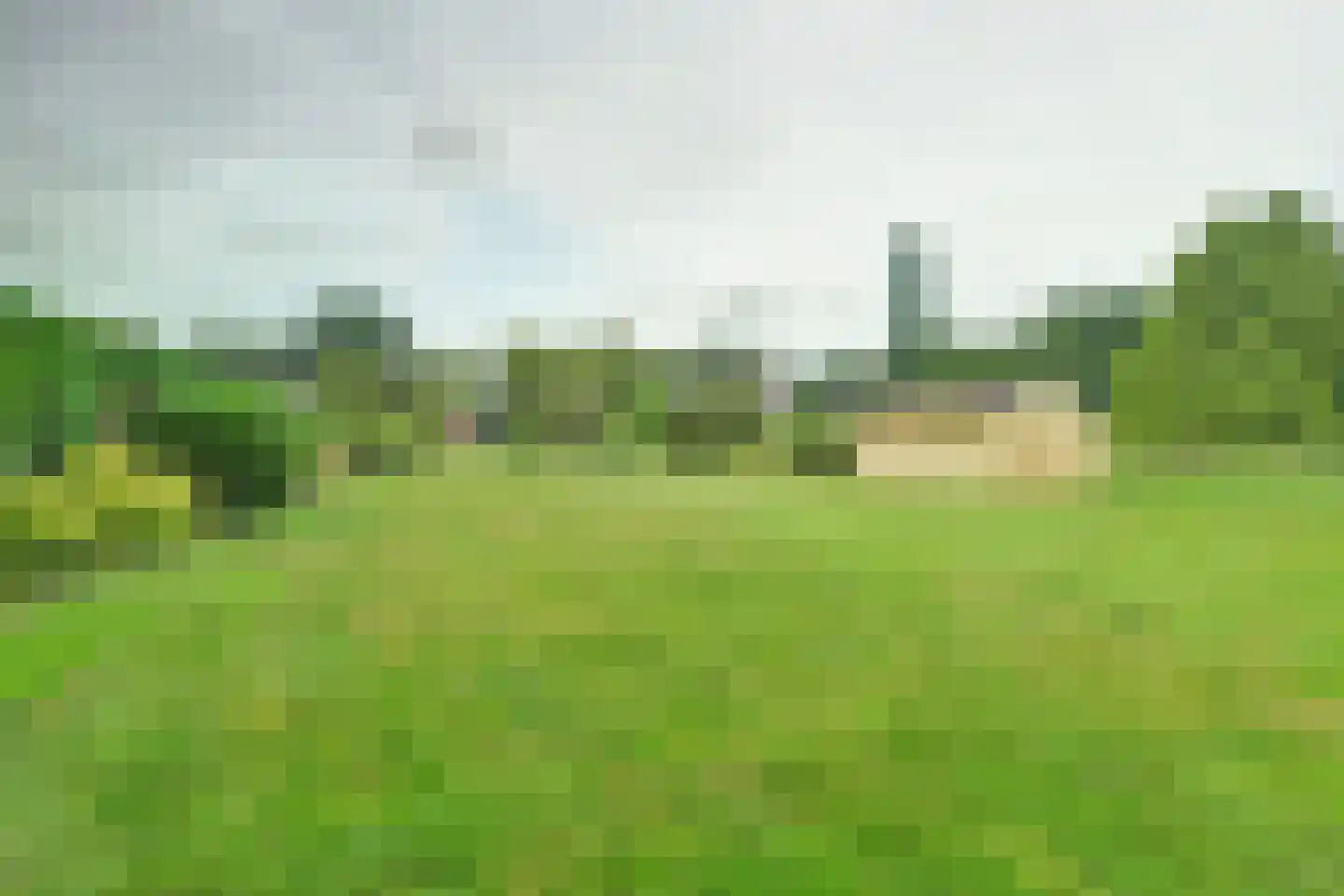 Westerdiep OZ 8 Emmer-Compascuum thumbnail 43
