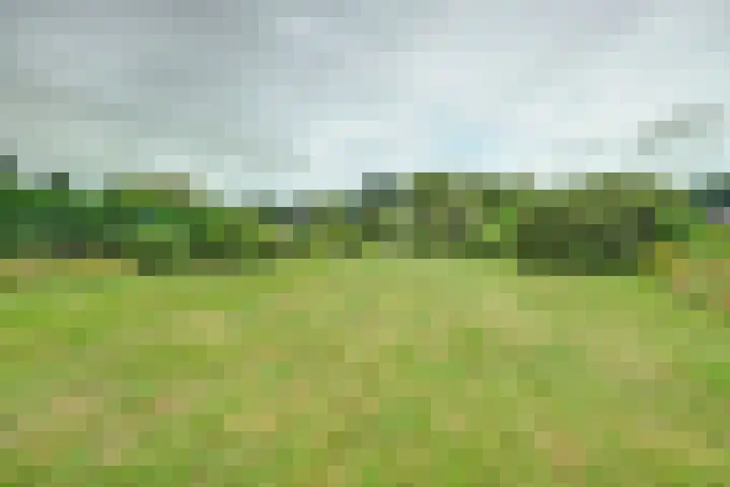 Westerdiep OZ 8 Emmer-Compascuum thumbnail 45