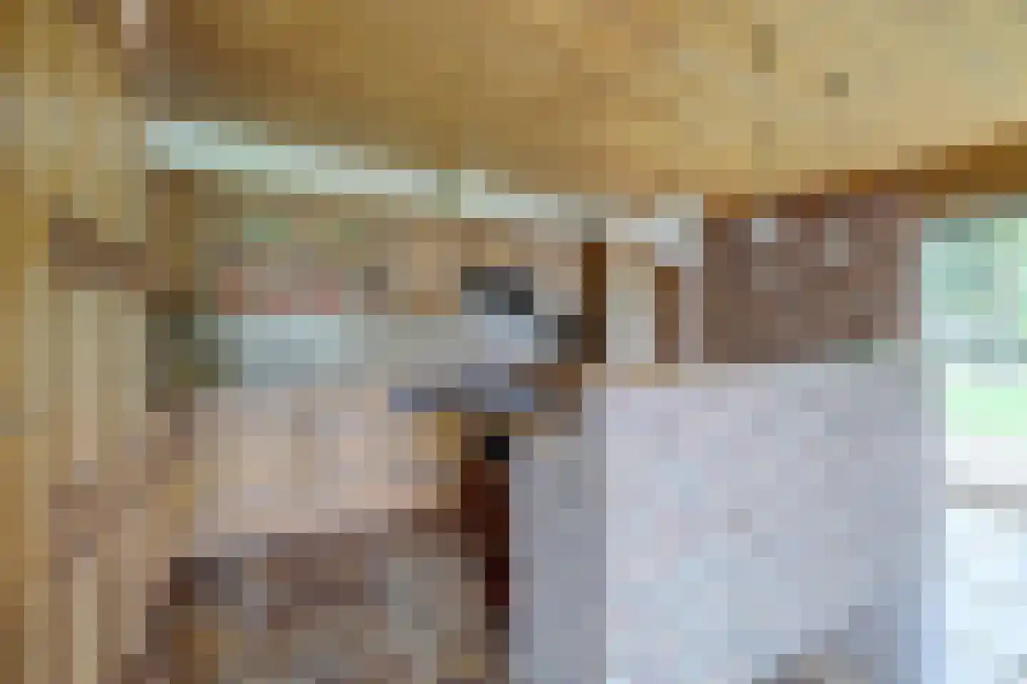 Westerdiep OZ 8 Emmer-Compascuum thumbnail 9